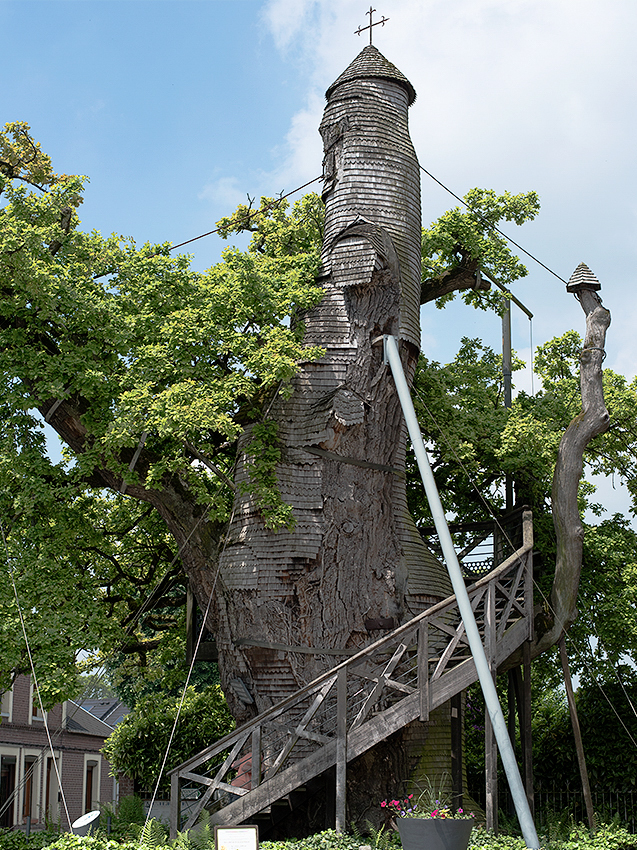Normandie 05 - 2016_KA79737-1 Kopie.jpg - In einem kleinen Dorf auf unserer Heimreise entdeckt - ein echtes Baumhaus mit winzigen Zimmerchen